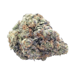 RAINBOW SHERBET
