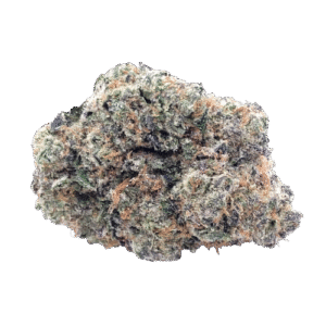 BLUE FROST GELATO