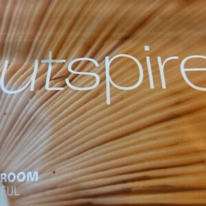 OUTSPIRE MUSHROOM GUMMIES