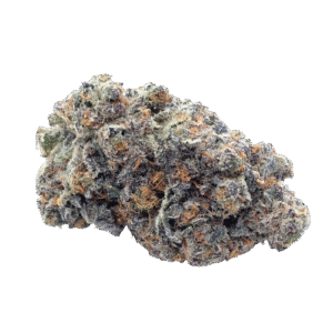 MANGO TANGO
