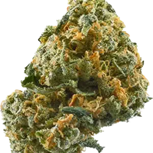 CNNABIS FLOWER AVAILABLE